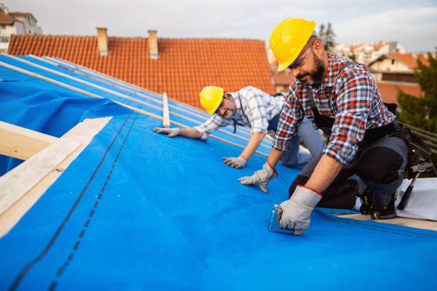 Best Storm Damage Roof Repair  in Hawkinsville, GA