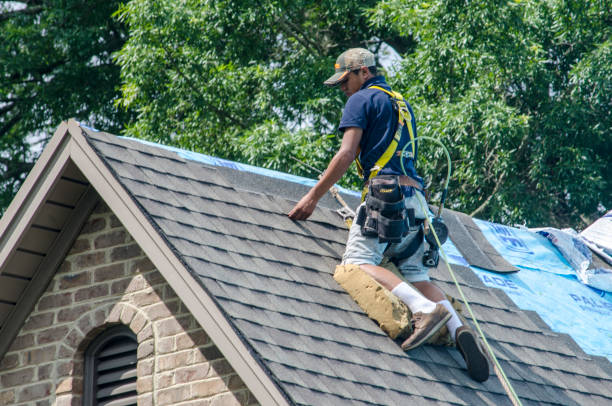 Best Roof Restoration Services  in Hawkinsville, GA